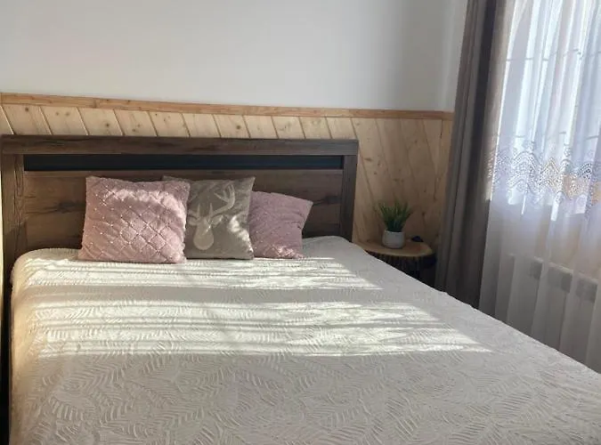 Goscinne Monika 扎科帕内